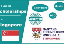 Nanyang University Scholarships